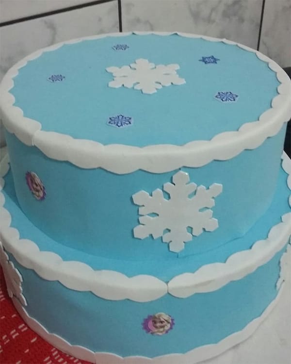 Bolo Fake Frozen Bolo Fake Frozen